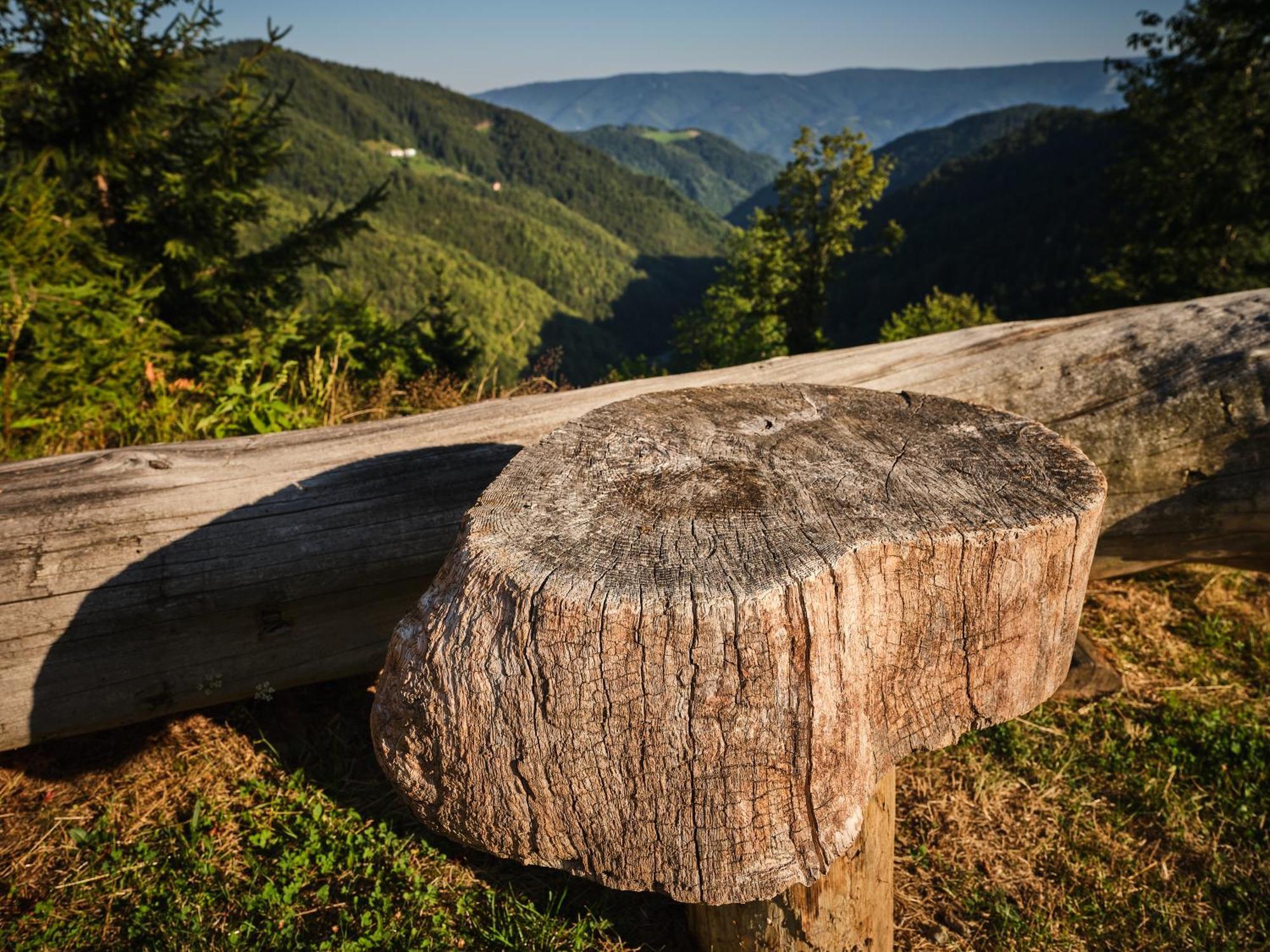 Chalets Toplak Sveti Duh na Ostrem Vrhu Экстерьер фото