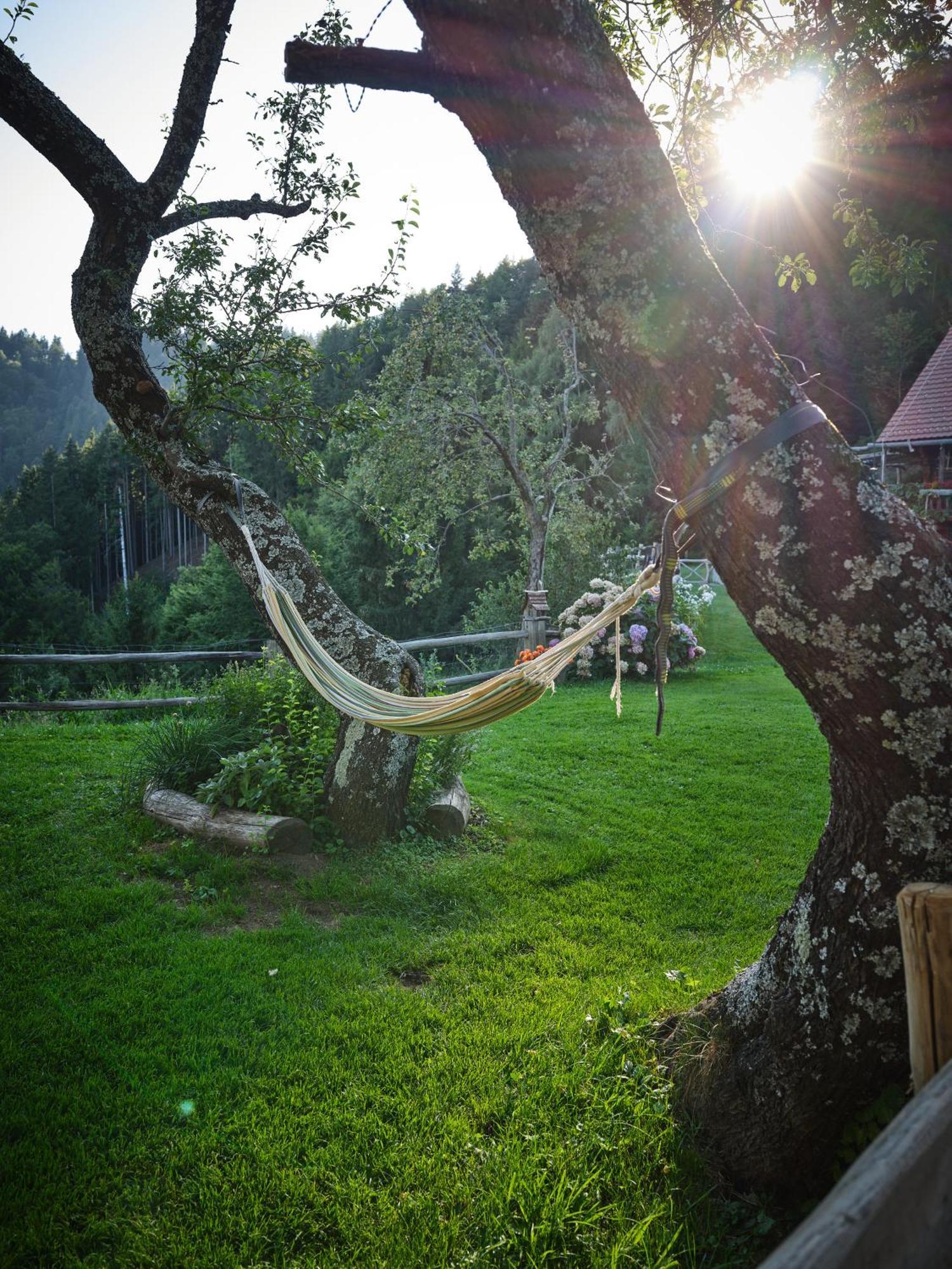 Chalets Toplak Sveti Duh na Ostrem Vrhu Экстерьер фото