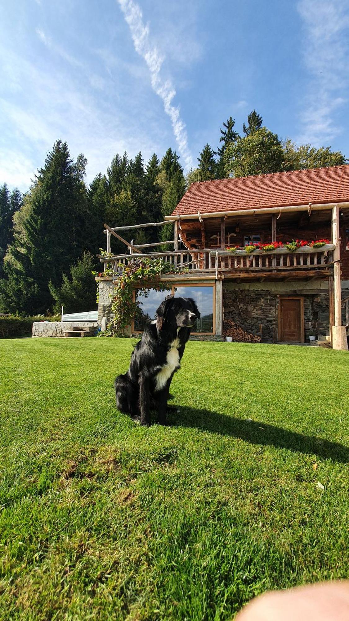 Chalets Toplak Sveti Duh na Ostrem Vrhu Экстерьер фото