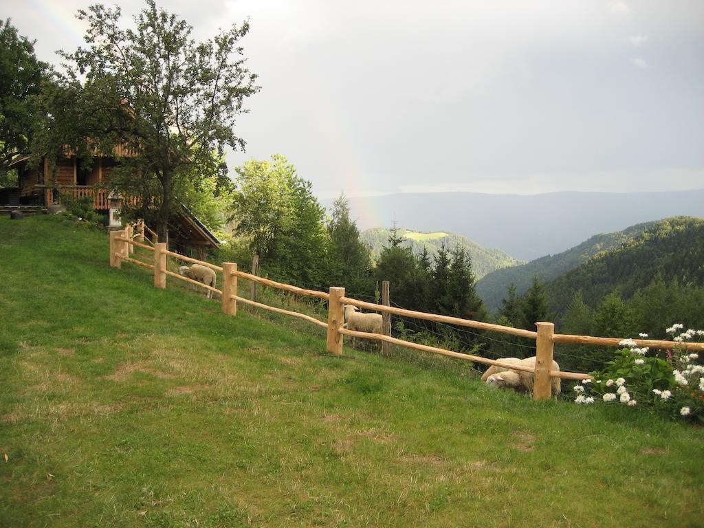 Chalets Toplak Sveti Duh na Ostrem Vrhu Экстерьер фото